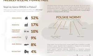 Wykres pokazuje źródła smogu w Polsce, gdzie niska emisja (spaliny z domów) to 52%. Wymieniono też pył zawieszony (PM10 i PM2.5) jako jeden z problemów.