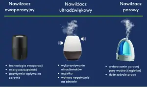 Porównanie nawilżaczy: ewaporacyjny (zdrowie, oszczędność), ultradźwiękowy (mgiełka, negatywny wpływ na zdrowie), parowy (gorąca para, duże zużycie prądu).