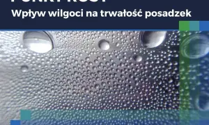 Krople wody na powierzchni, symbolizujące wilgoć. Dowiedz się, jak zmierzyć wilgotność w domu, by chronić posadzki.