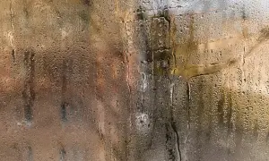 Krople wody na szybie, jakby osuszacz powietrza nie zbierał wody. Rozmyte tło sugeruje wilgotne otoczenie.