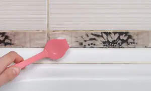 Różowa szczoteczka usuwa pleśń z fugi przy wannie. Dowiedz się, jak usunąć pleśń z plastiku i innych powierzchni.