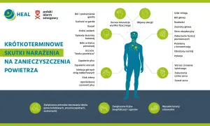 Ilustracja pokazuje skutki krótkoterminowego narażenia na zanieczyszczenia powietrza, od bólu gardła po problemy z sercem i mózgiem.
