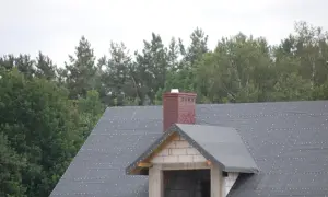 Ceglany komin systemowy z białym daszkiem na tle zielonego lasu. Dach pokryty papą, w trakcie budowy.
