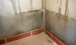 Narożnik piwnicy z zaciekami i ciemnymi plamami na ścianach, świadczącymi o wilgoci w piwnicy latem.