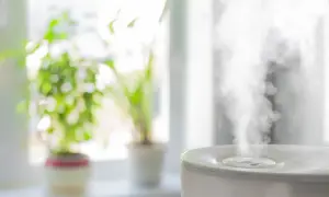 Nawilżacz powietrza emituje parę, tworząc w powietrzu równowagę między jonami dodatnimi i ujemnymi. W tle zielone rośliny.