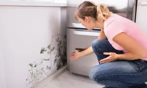 Kobieta odkrywa pleśń na ścianie, szukając sposobu, jak osuszyć pomieszczenie.