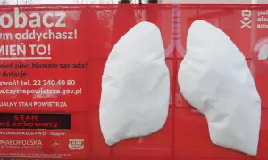 Plakat z płucami i napisem "Zobacz czym oddychasz! Zmień to!". Informuje o smogu i normach lzo normy.