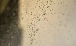 Krople wody na szkle, przypominające mokre ściany w piwnicy po ulewnym deszczu.