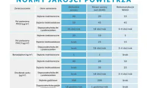 Tabela norm jakości powietrza. Pył zawieszony PM2.5 (pm2 5 co to jest) ma dopuszczalne stężenie średnioroczne 20 µg/m³, a średniodobowe brak.