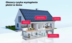 Jak obniżyć wilgotność w domu: wietrz, używaj osuszacza powietrza, unikaj suszenia prania w pokoju, monitoruj przecieki.