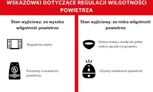 Jak nawilżyć powietrze w pokoju? Wskazówki: miska z wodą, mokry ręcznik na grzejniku lub nawilżacz powietrza.