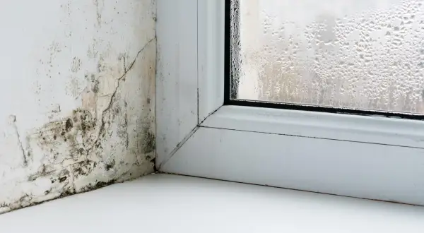 Pleśń na ścianie i zaparowane okno świadczą o dużej wilgotności powietrza przy wysokiej temperaturze.