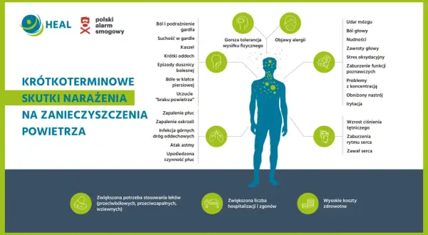 Ilustracja pokazuje skutki krótkoterminowego narażenia na zanieczyszczenia powietrza, od bólu gardła po problemy z sercem i mózgiem.