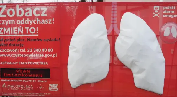 Plakat z płucami i napisem "Zobacz czym oddychasz! Zmień to!". Informuje o smogu i normach lzo normy.
