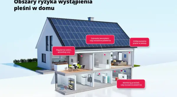 Jak obniżyć wilgotność w domu: wietrz, używaj osuszacza powietrza, unikaj suszenia prania w pokoju, monitoruj przecieki.