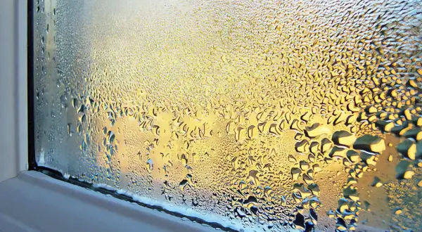 Skraplanie wody na ścianach okna tworzy wzory przypominające złote krople.