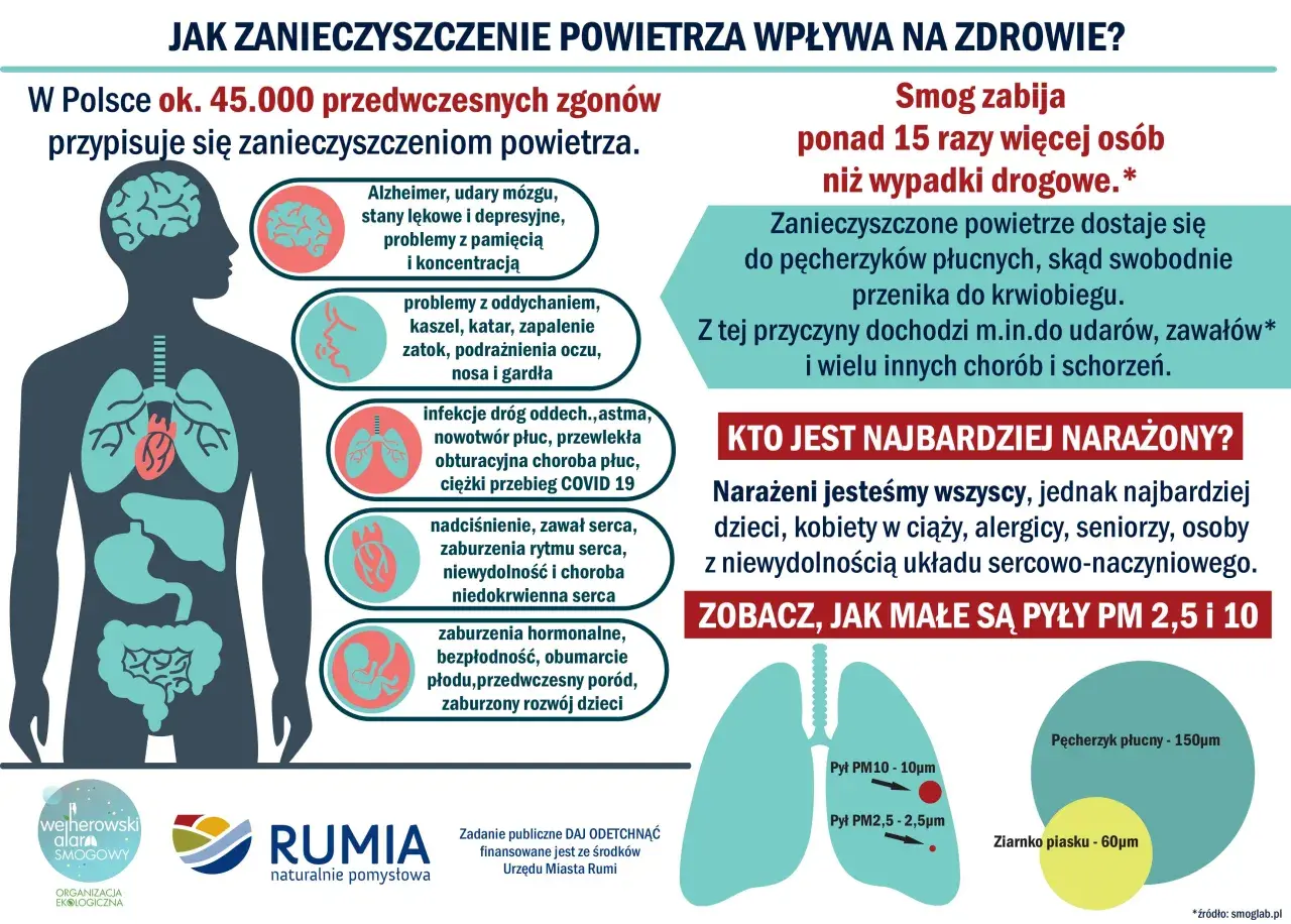 Zanieczyszczone powietrze powoduje 45 tys. zgonów rocznie w Polsce, prowadząc do chorób serca, płuc i mózgu. Smog jest groźniejszy od wypadków drogowych.