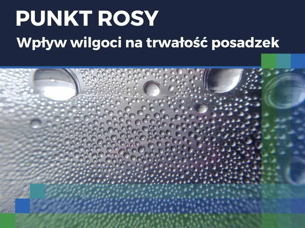 Krople wody na powierzchni, symbolizujące wilgoć. Dowiedz się, jak zmierzyć wilgotność w domu, by chronić posadzki.