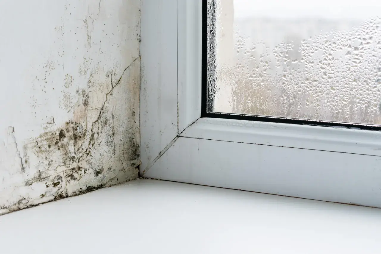 Pleśń na ścianie i zaparowane okno świadczą o dużej wilgotności powietrza przy wysokiej temperaturze.