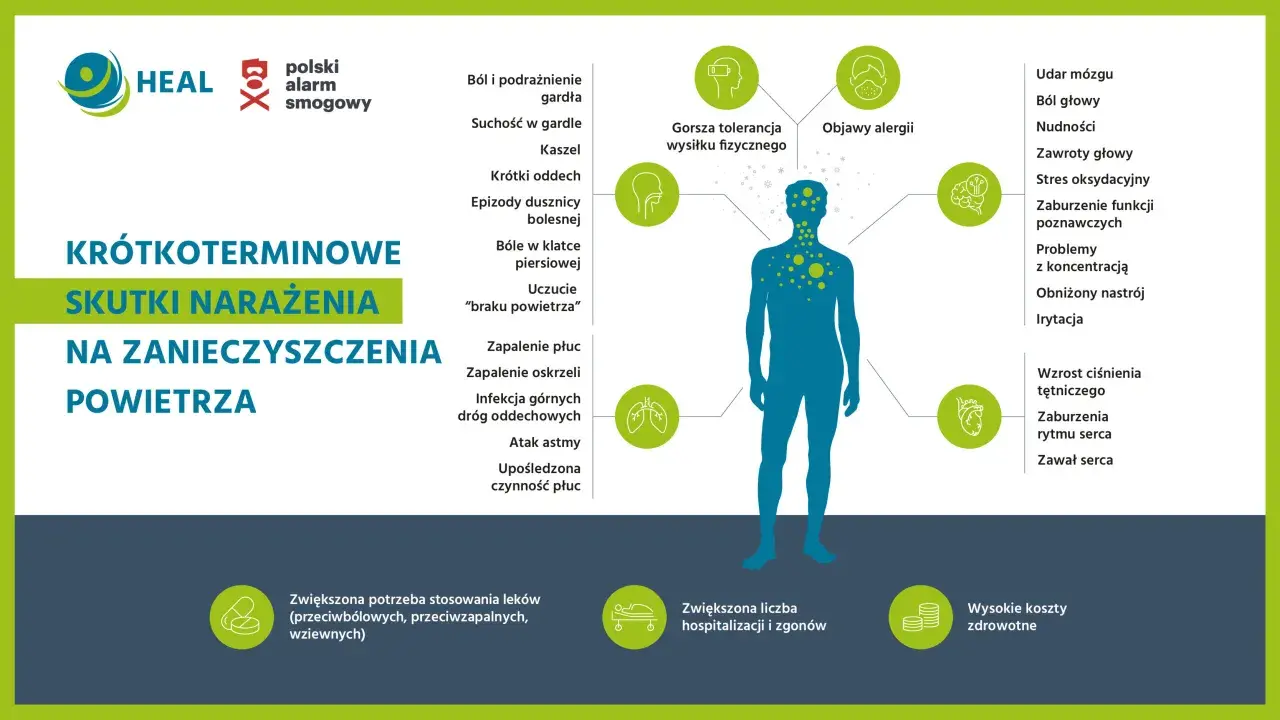 Ilustracja pokazuje skutki krótkoterminowego narażenia na zanieczyszczenia powietrza, od bólu gardła po problemy z sercem i mózgiem.