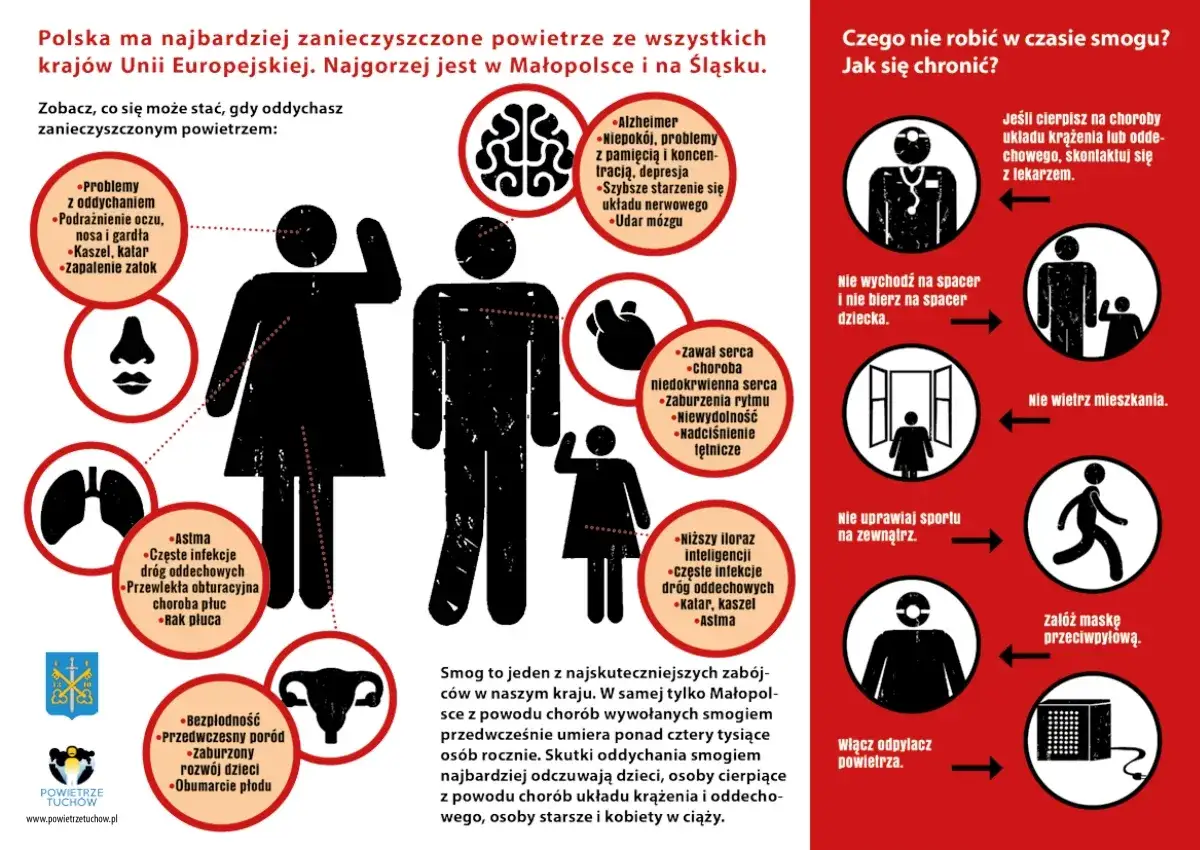 Zanieczyszczone powietrze szkodzi zdrowiu: problemy z oddychaniem, sercem, mózgiem, a nawet płodnością. Chroń siebie i bliskich!