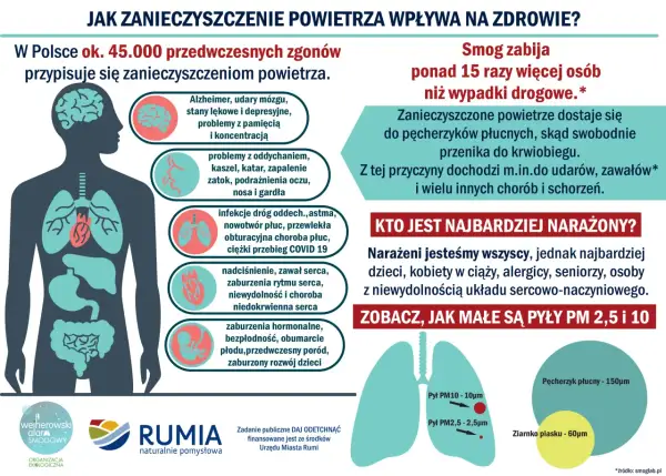 Zanieczyszczone powietrze powoduje 45 tys. zgonów rocznie w Polsce, prowadząc do chorób serca, płuc i mózgu. Smog jest groźniejszy od wypadków drogowych.