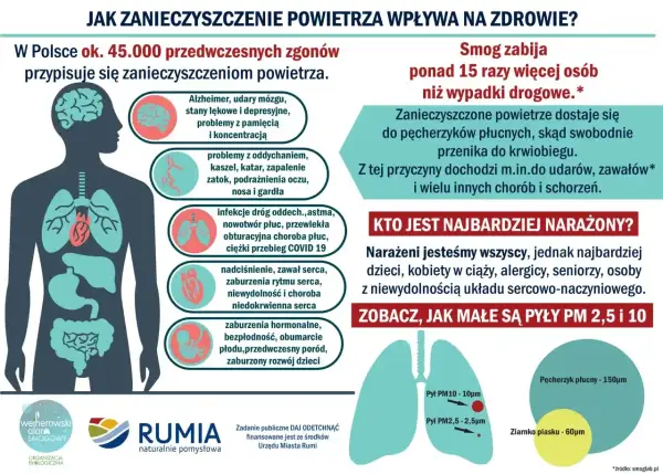 Zanieczyszczenie powietrza w Polsce to ok. 45 tys. zgonów rocznie. Smog wpływa na mózg, płuca, serce, powodując udary, choroby serca i problemy z rozwojem dzieci.