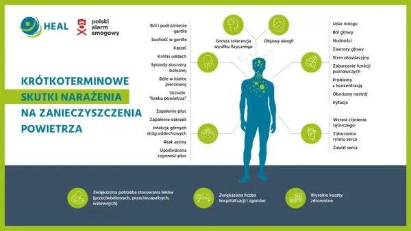 Ilustracja pokazuje skutki krótkoterminowego narażenia na zanieczyszczenia powietrza, od bólu gardła po problemy z sercem i mózgiem.