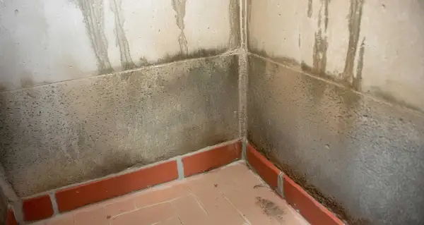 Narożnik piwnicy z zaciekami i ciemnymi plamami na ścianach, świadczącymi o wilgoci w piwnicy latem.