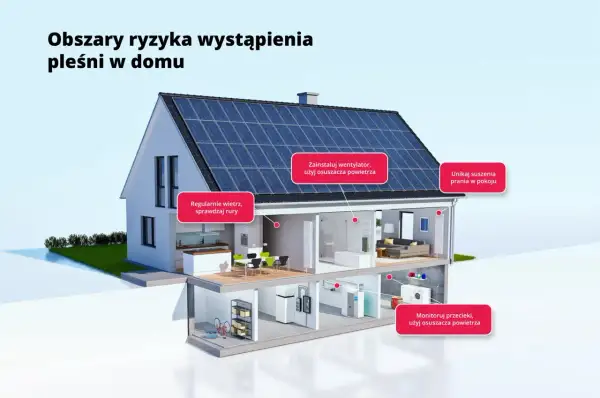 Jak obniżyć wilgotność w domu: wietrz, używaj osuszacza powietrza, unikaj suszenia prania w pokoju, monitoruj przecieki.